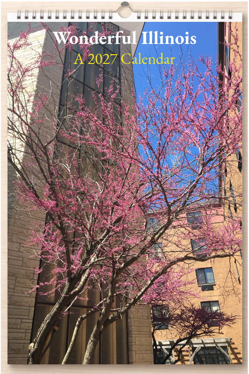 Wonderful Illinois: A 2027 Calendar