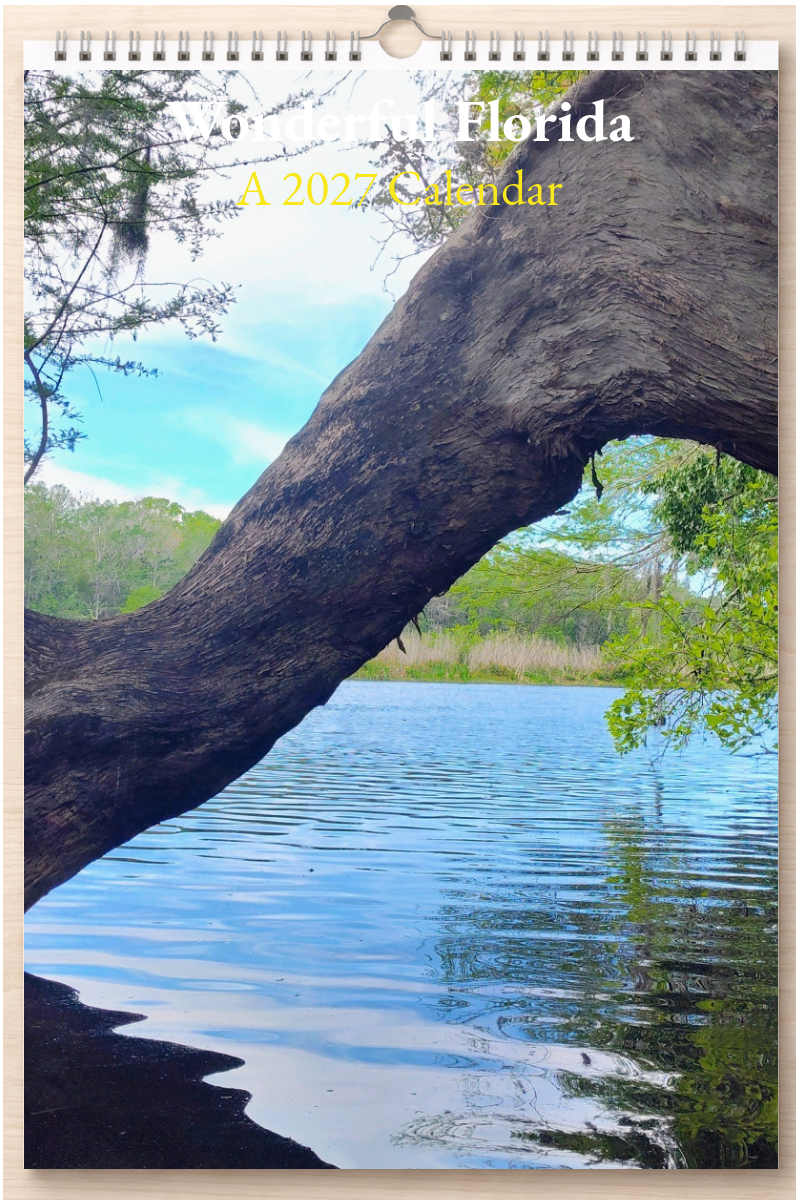 Wonderful Florida: A 2027 Calendar