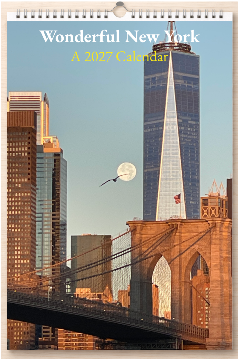 Wonderful New York: A 2027 Calendar