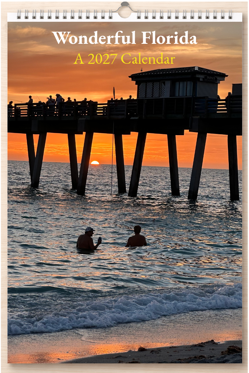 Wonderful Florida: A 2027 Calendar