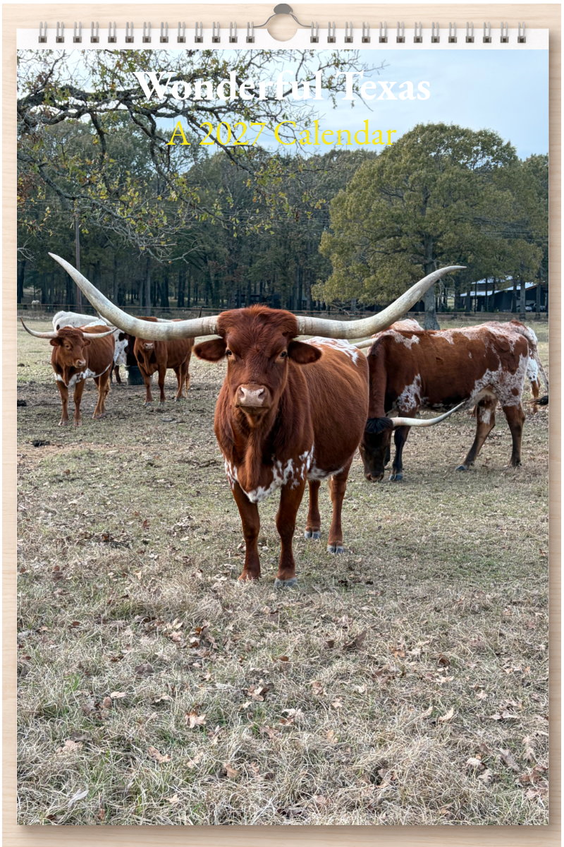 Wonderful Texas: A 2027 Calendar