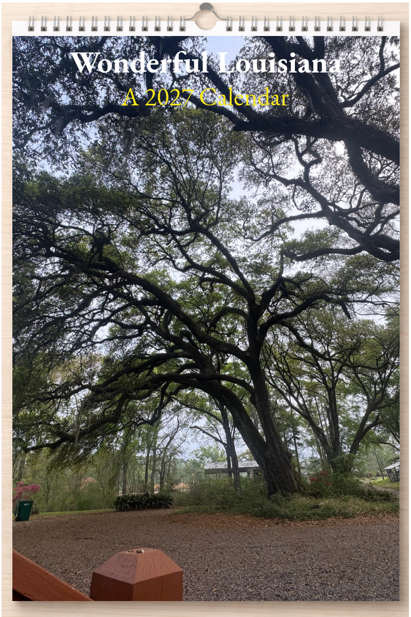 Wonderful Louisiana: A 2027 Calendar