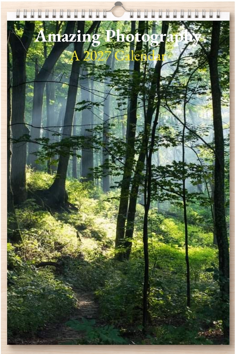 Amazing Photography: A 2027 Calendar