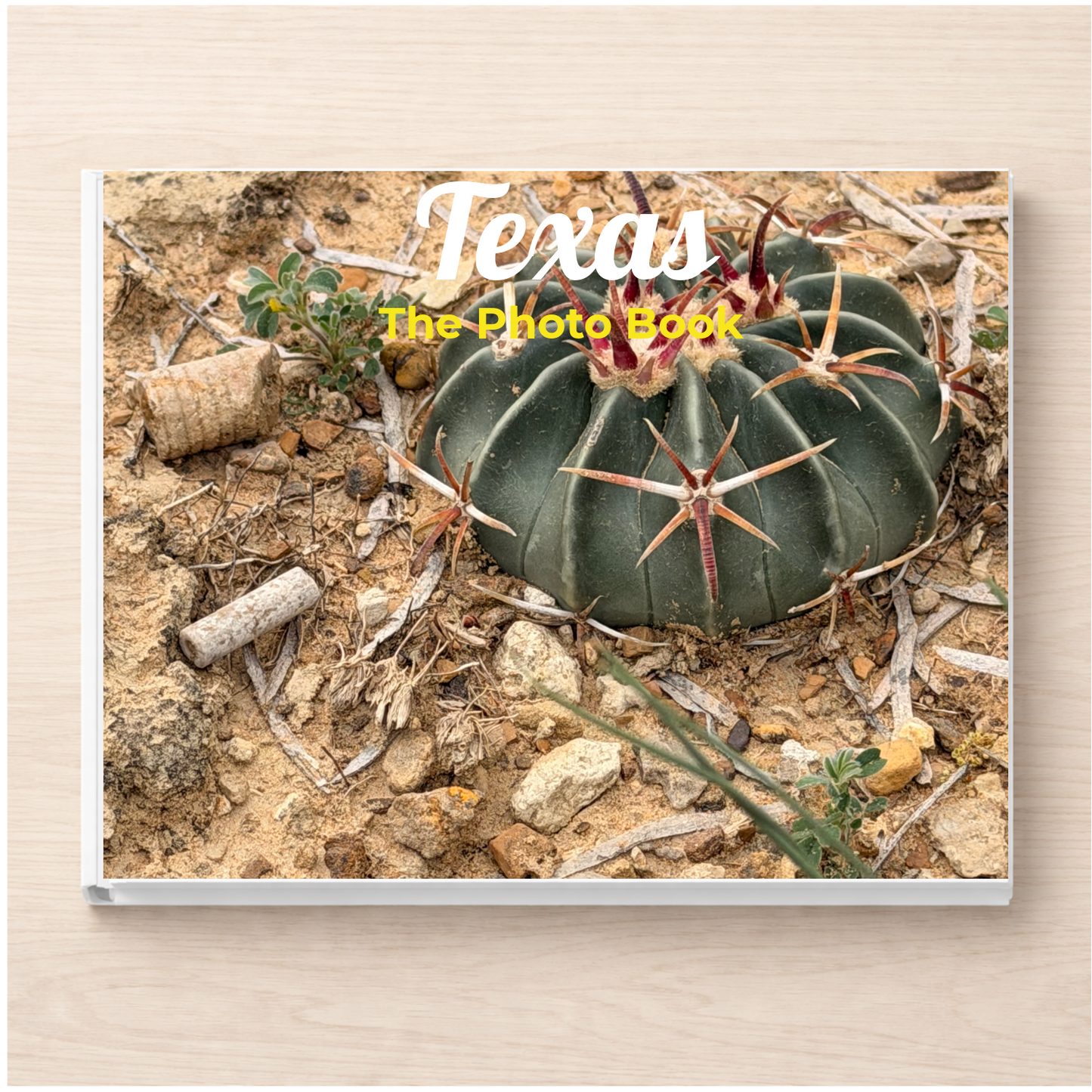 Texas: The Photo Book
