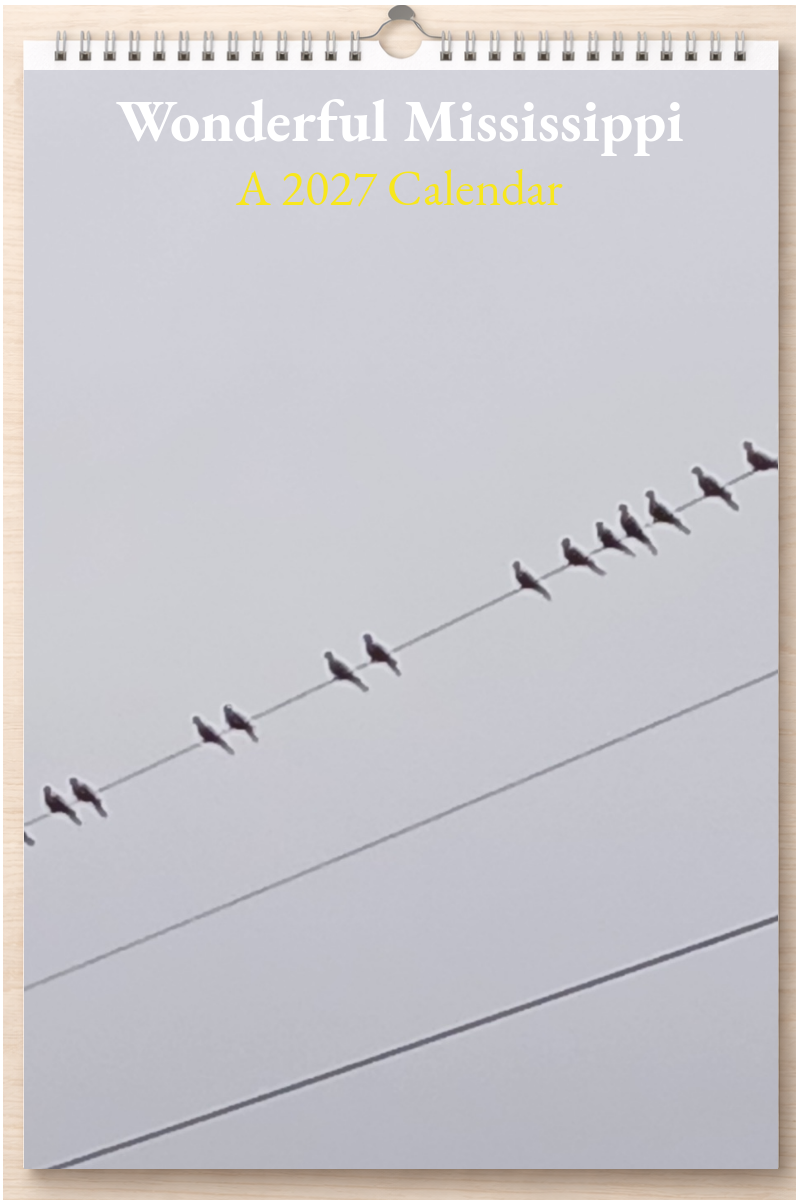 Wonderful Mississippi: A 2027 Calendar