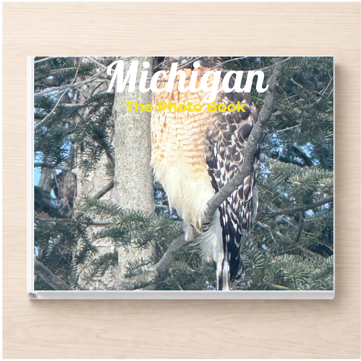 Michigan: The Photo Book