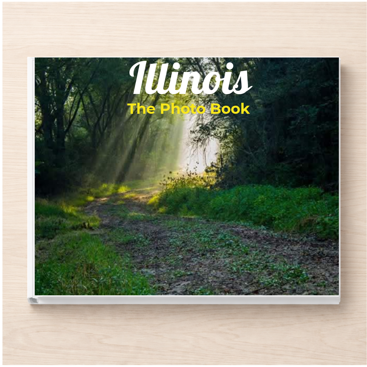 Illinois: The Photo Book