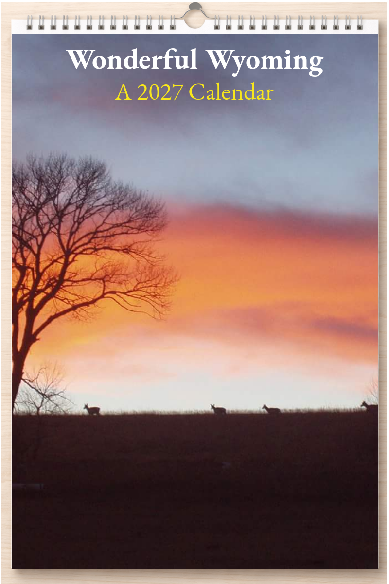 Wonderful Wyoming: A 2027 Calendar