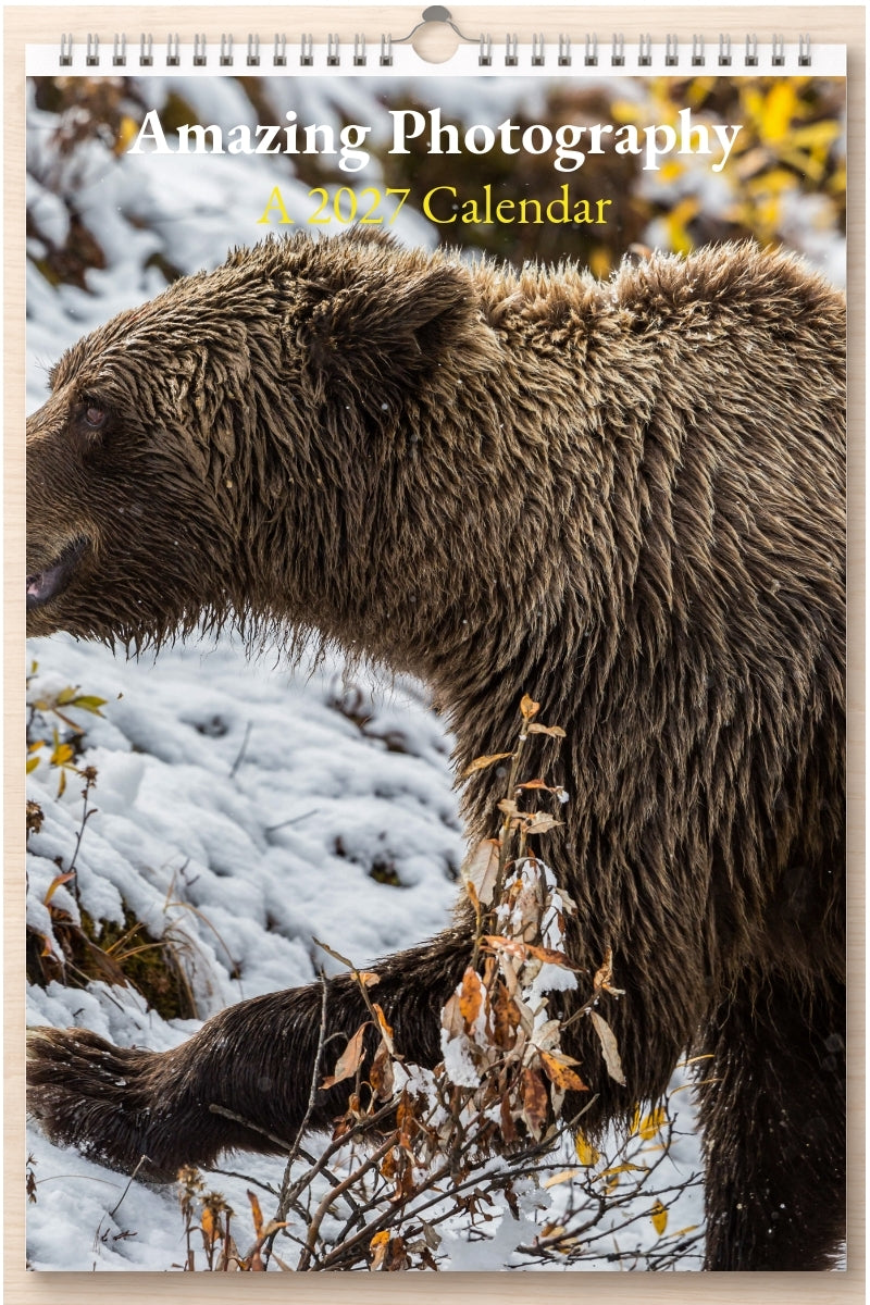 Amazing Photography: A 2027 Calendar