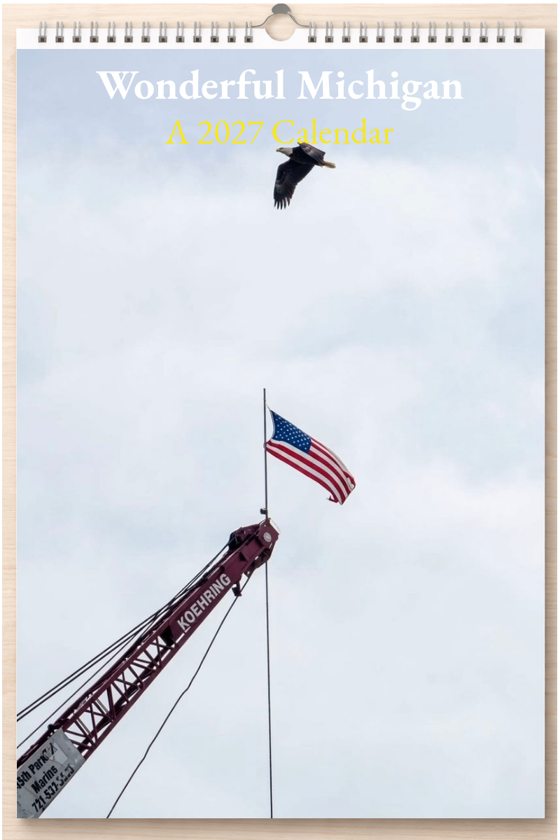 Wonderful Michigan: A 2027 Calendar
