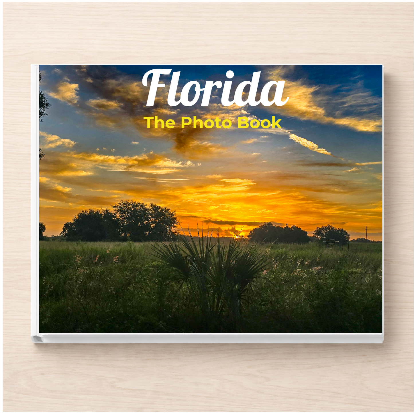 Florida: The Photo Book