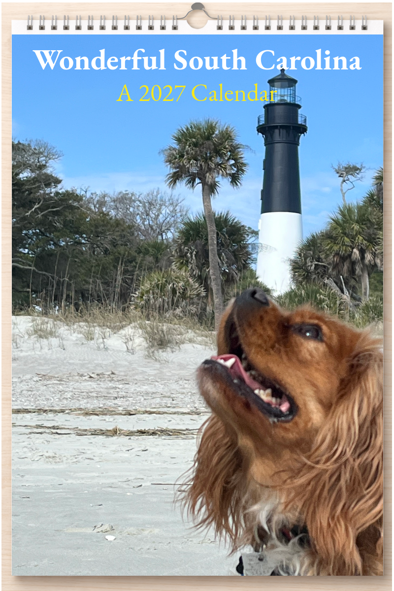 Wonderful South Carolina: A 2027 Calendar