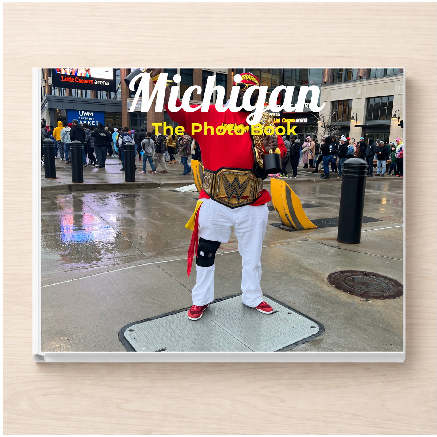 Michigan: The Photo Book