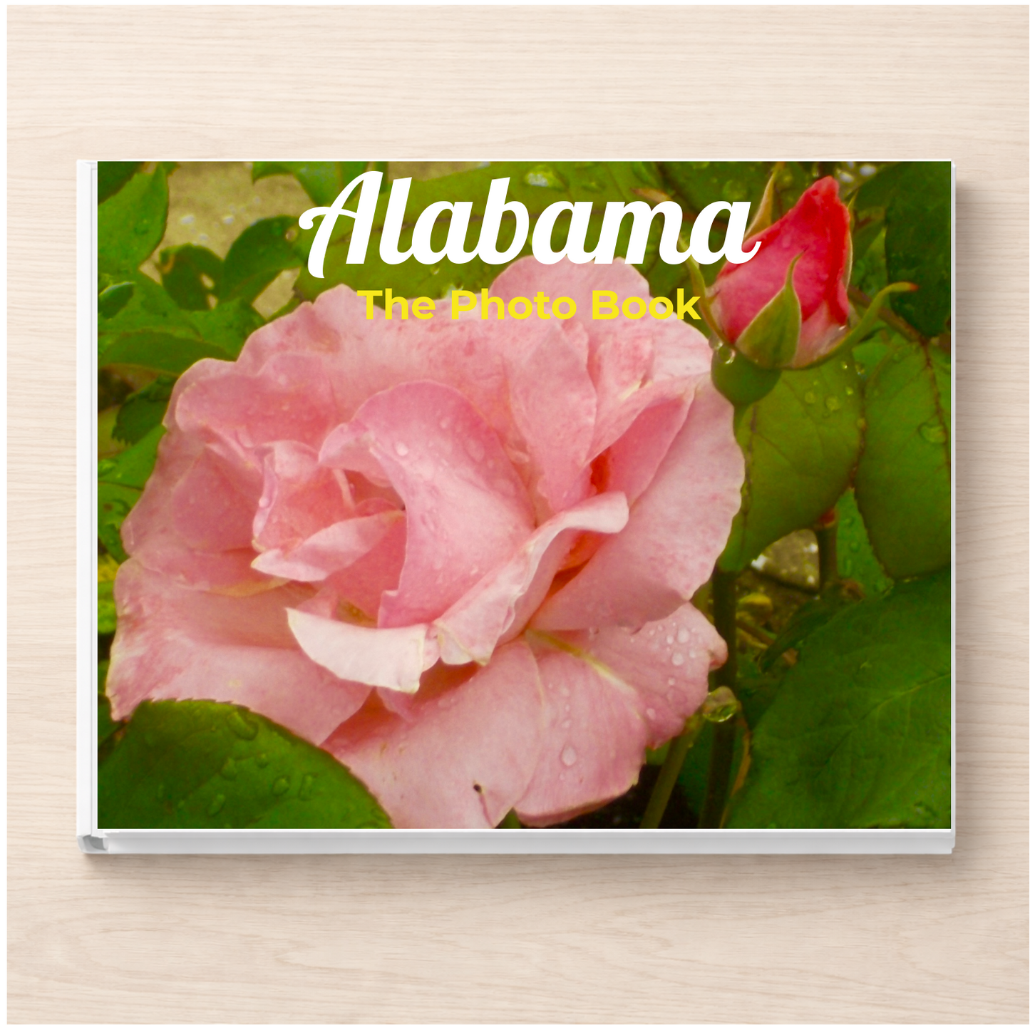 Alabama: The Photo Book