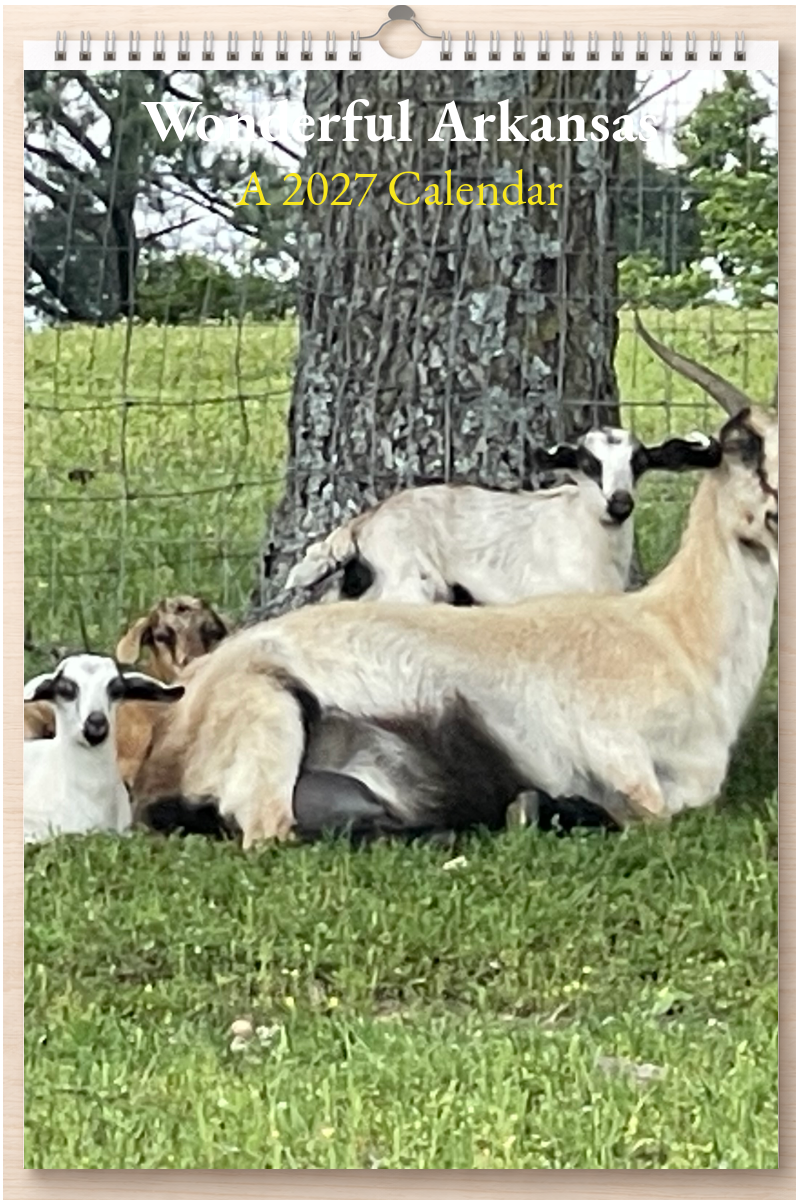 Wonderful Arkansas: A 2027 Calendar