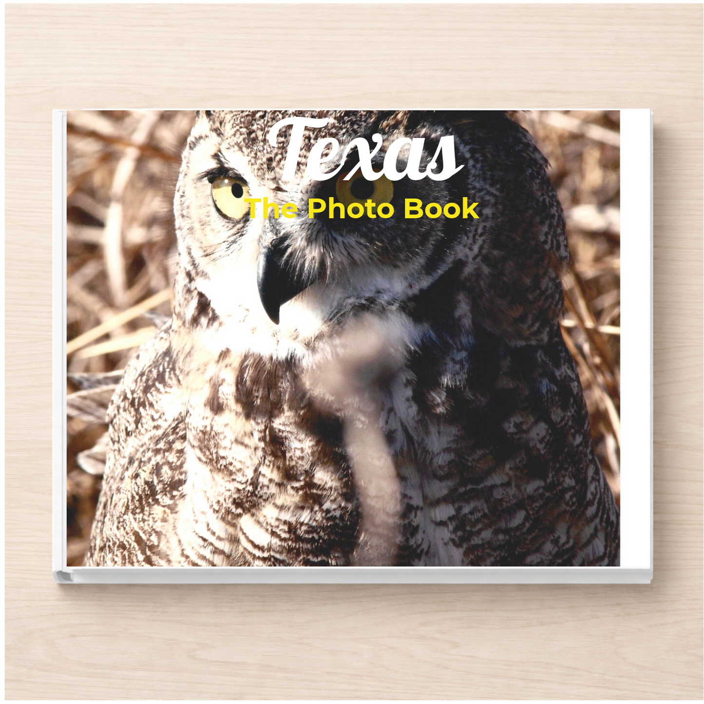 Texas: The Photo Book