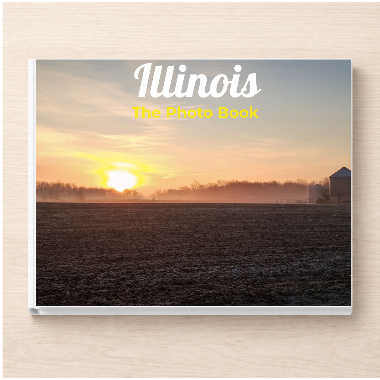 Illinois: The Photo Book