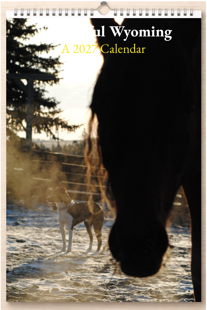 Wonderful Wyoming: A 2027 Calendar