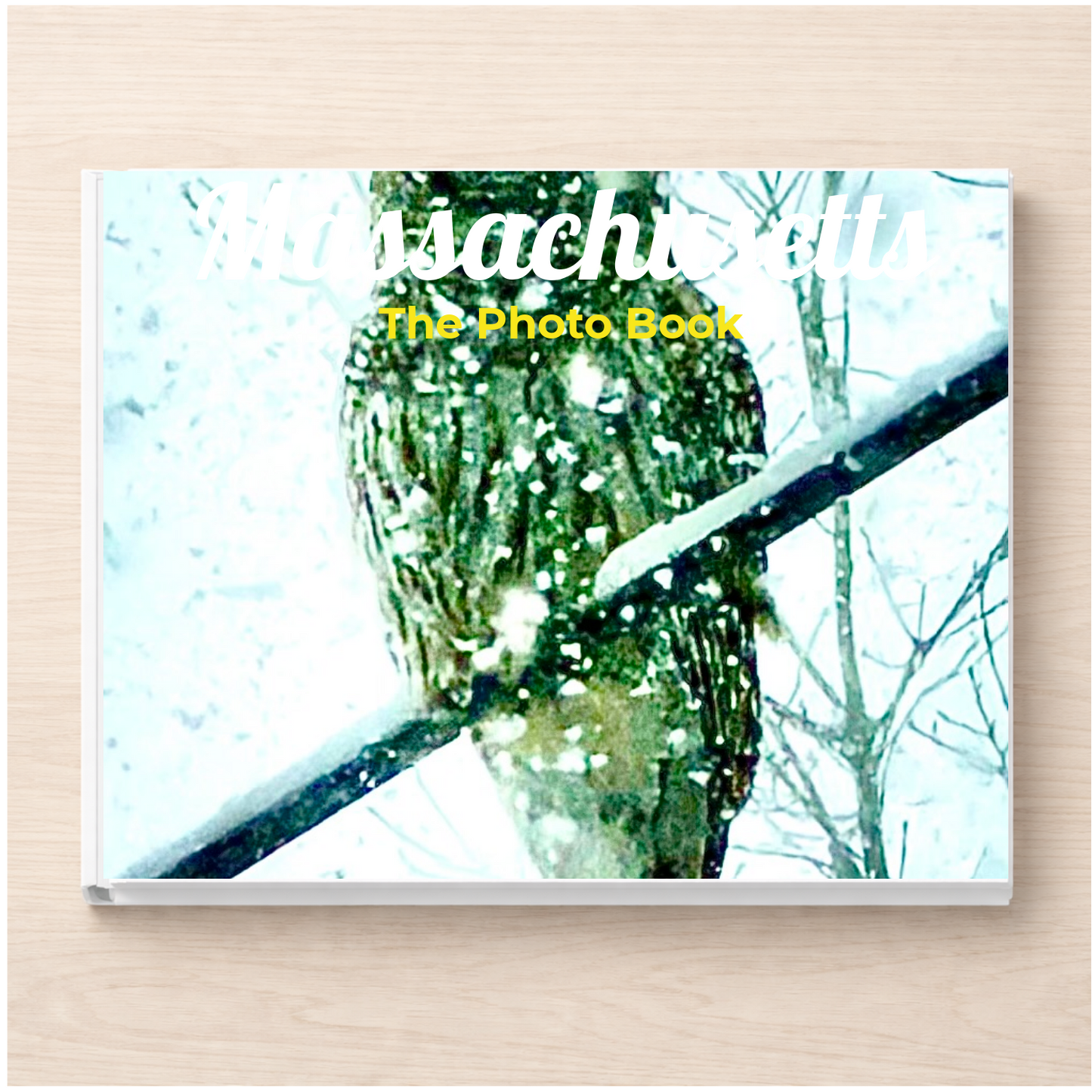 Massachusetts: The Photo Book