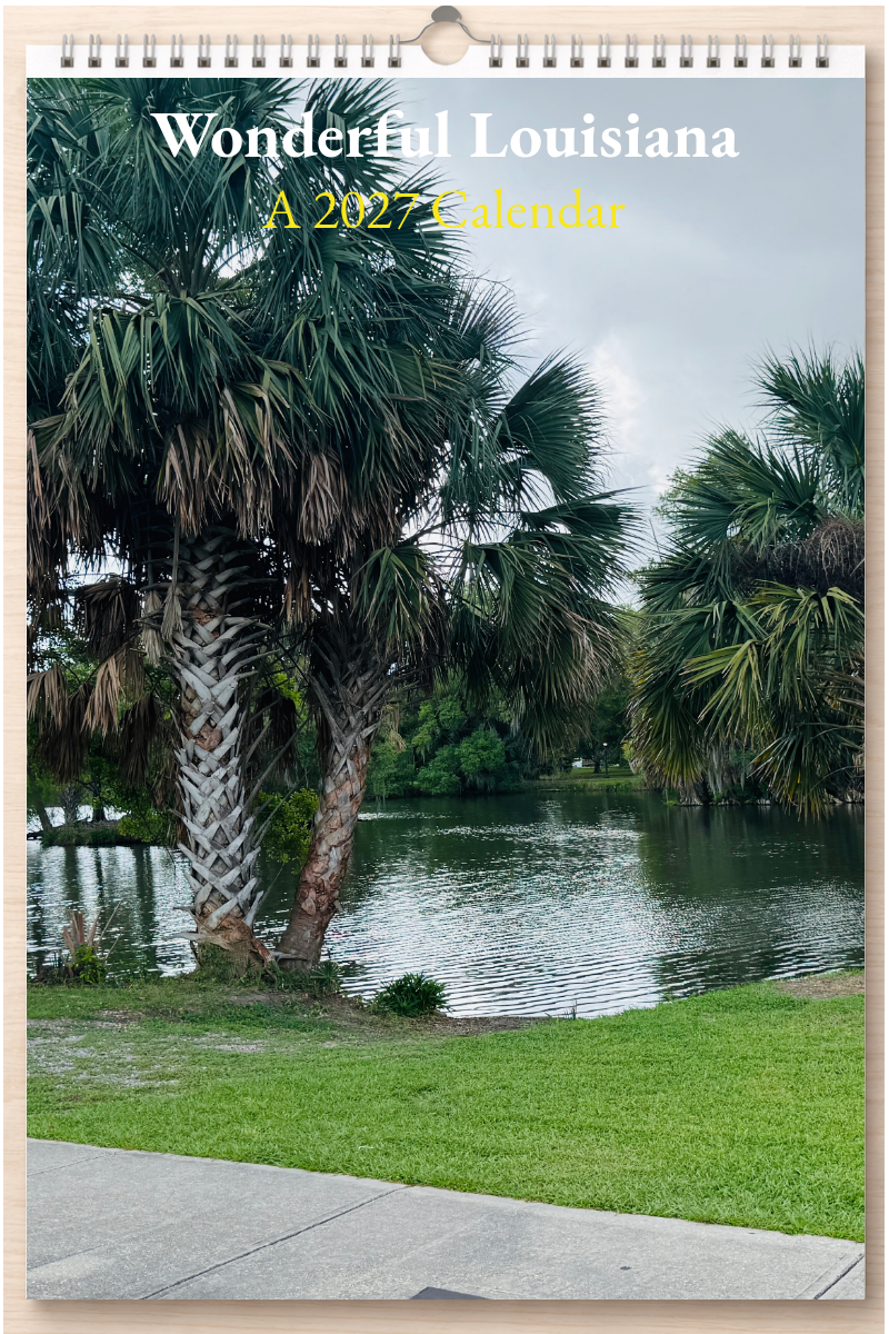 Wonderful Louisiana: A 2027 Calendar