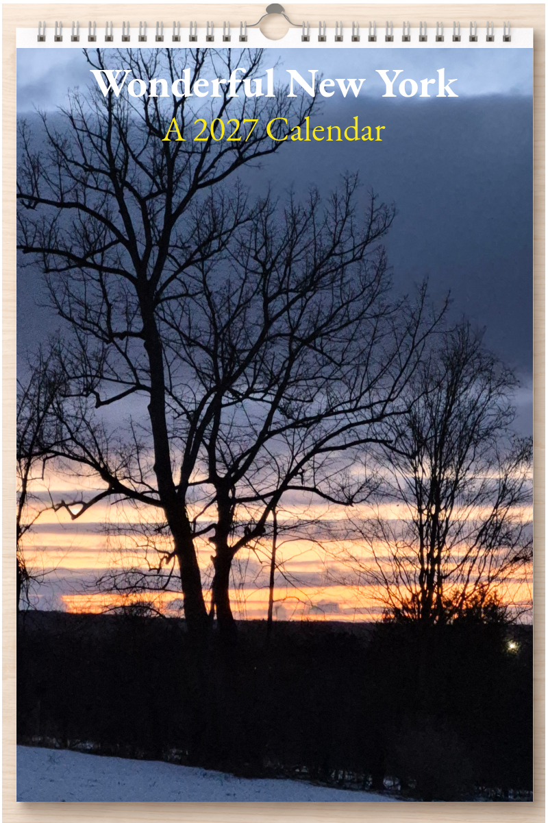 Wonderful New York: A 2027 Calendar