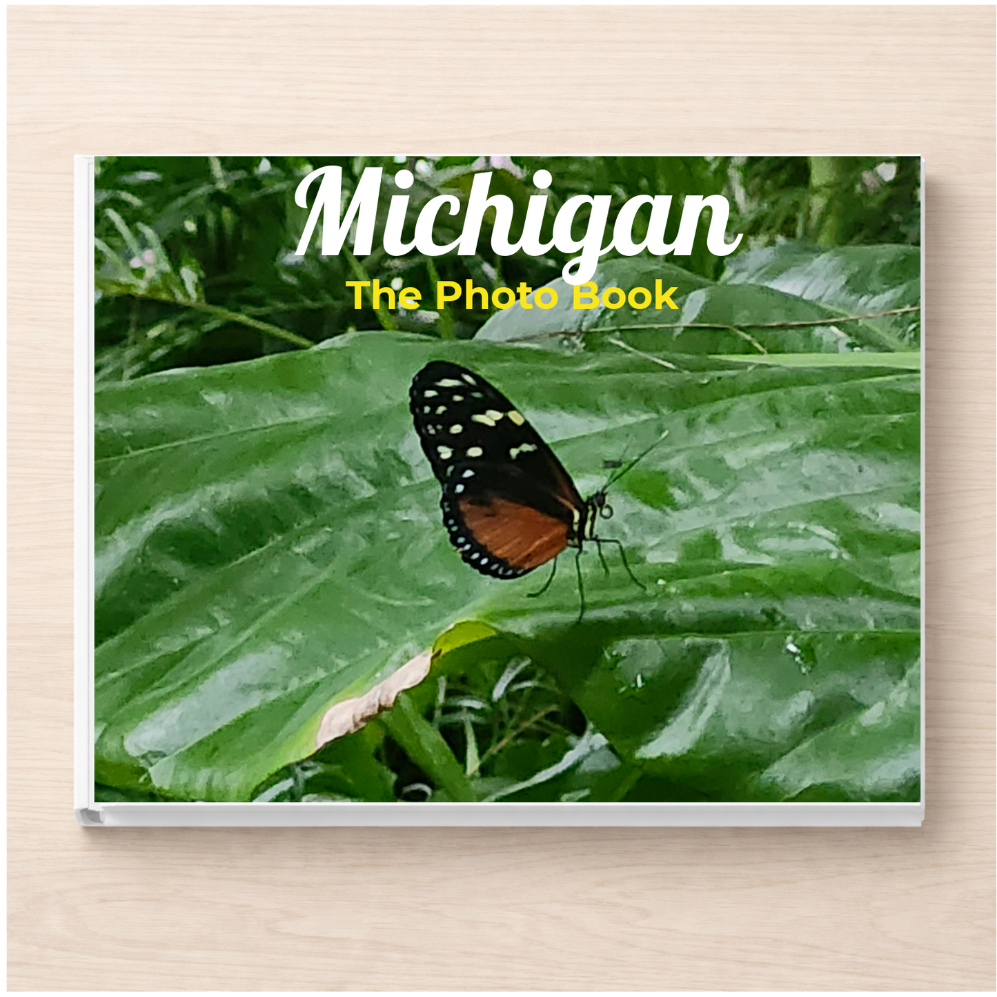 Michigan: The Photo Book