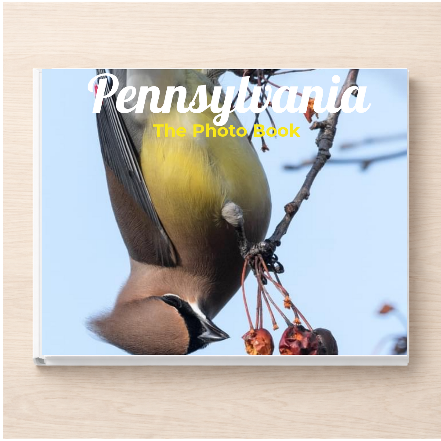 Pennsylvania: The Photo Book