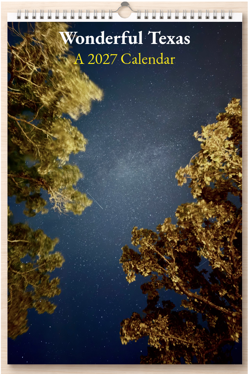 Wonderful Texas: A 2027 Calendar