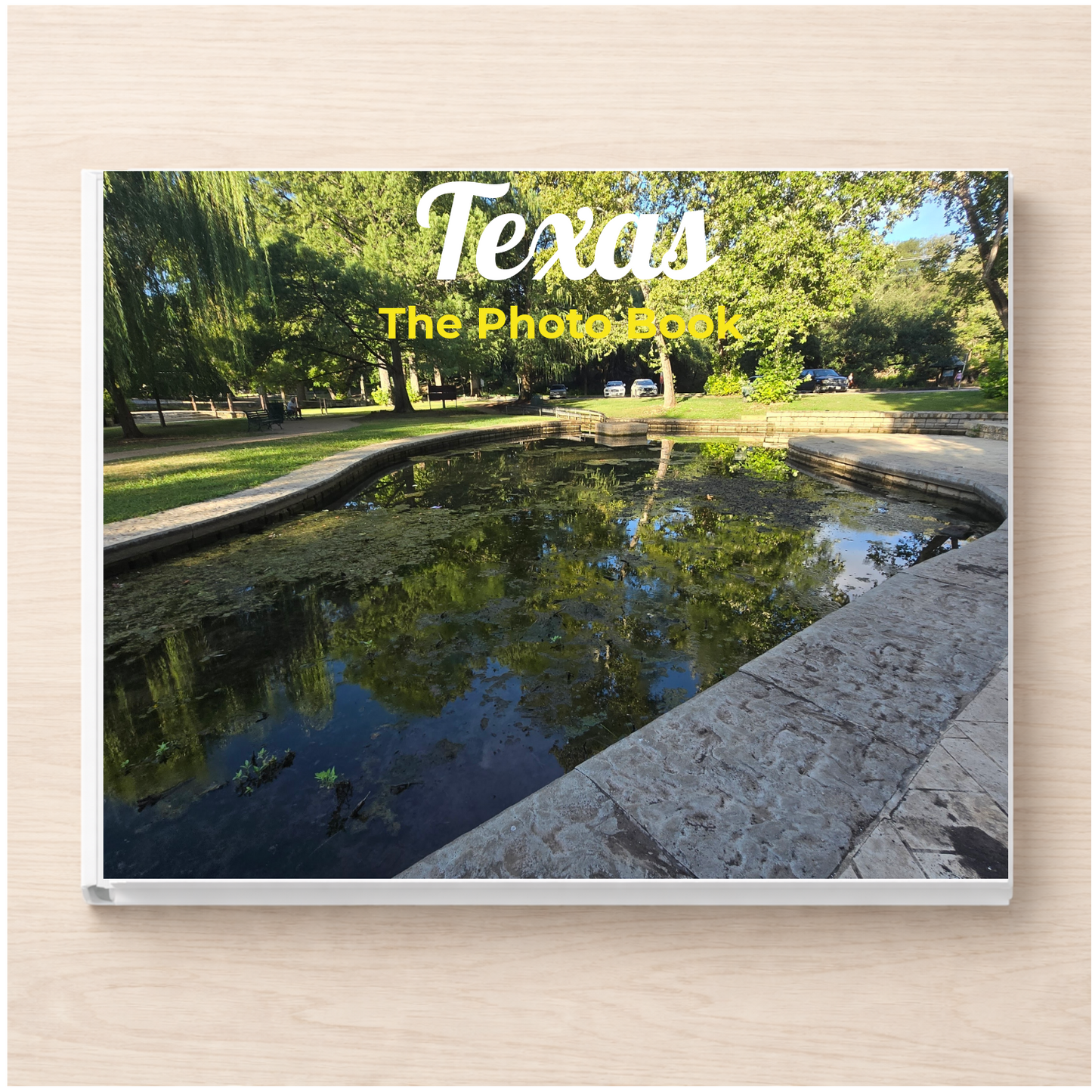 Texas: The Photo Book