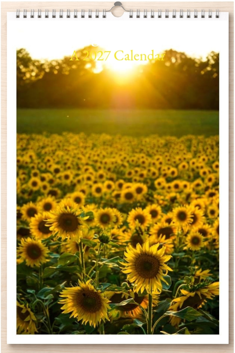Amazing Photography: A 2027 Calendar