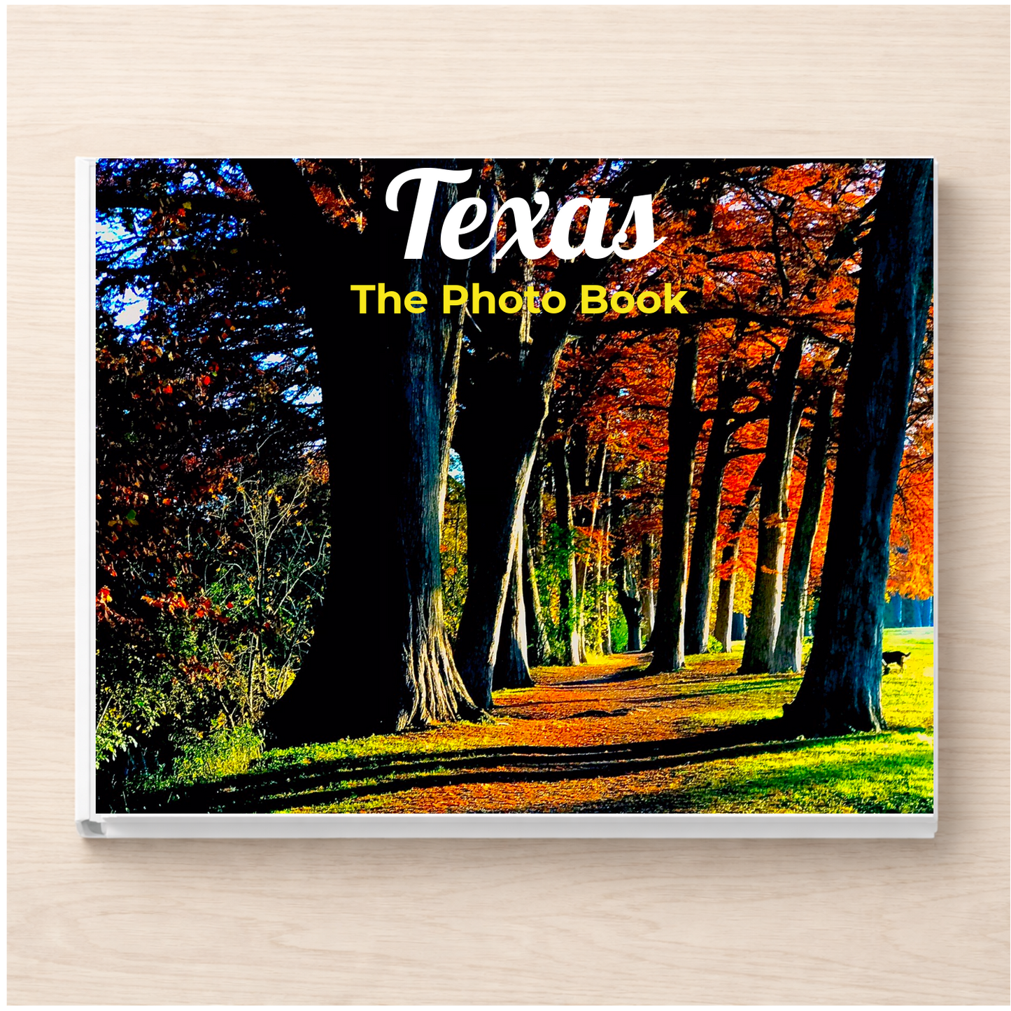 Texas: The Photo Book