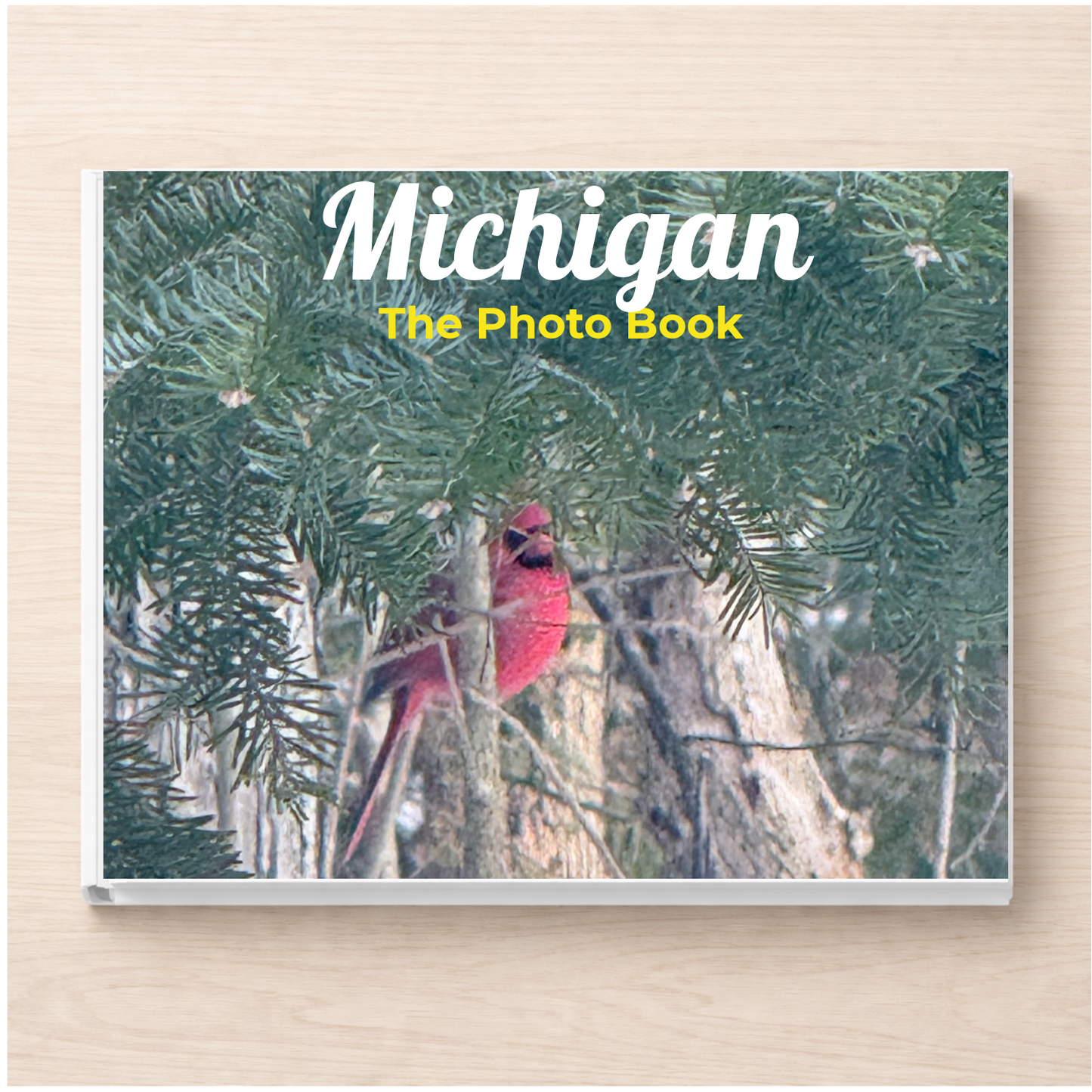 Michigan: The Photo Book