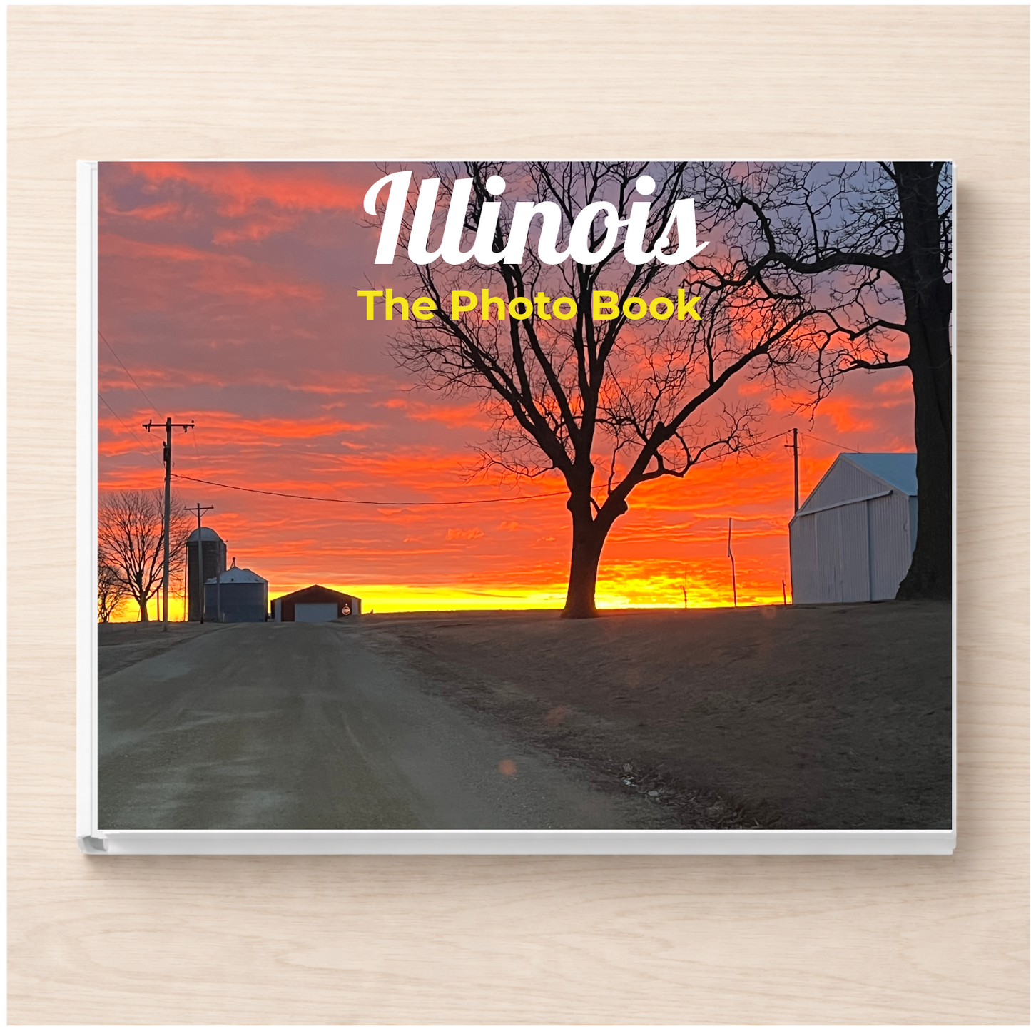 Illinois: The Photo Book