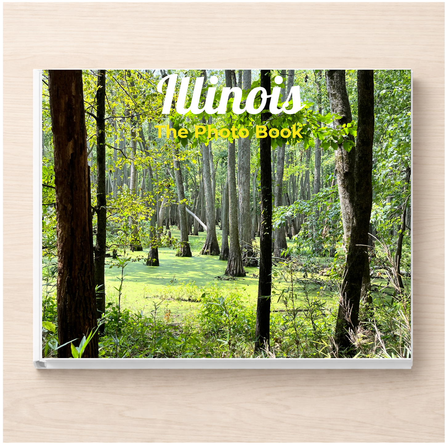 Illinois: The Photo Book