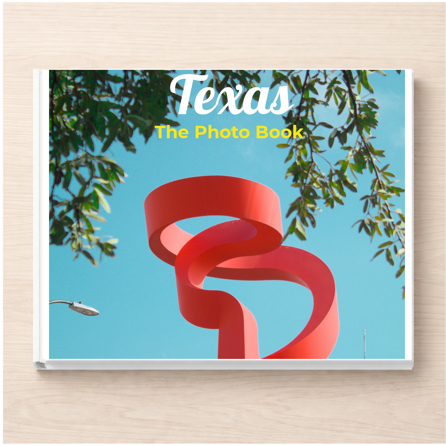 Texas: The Photo Book