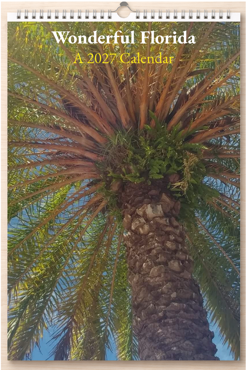 Wonderful Florida: A 2027 Calendar