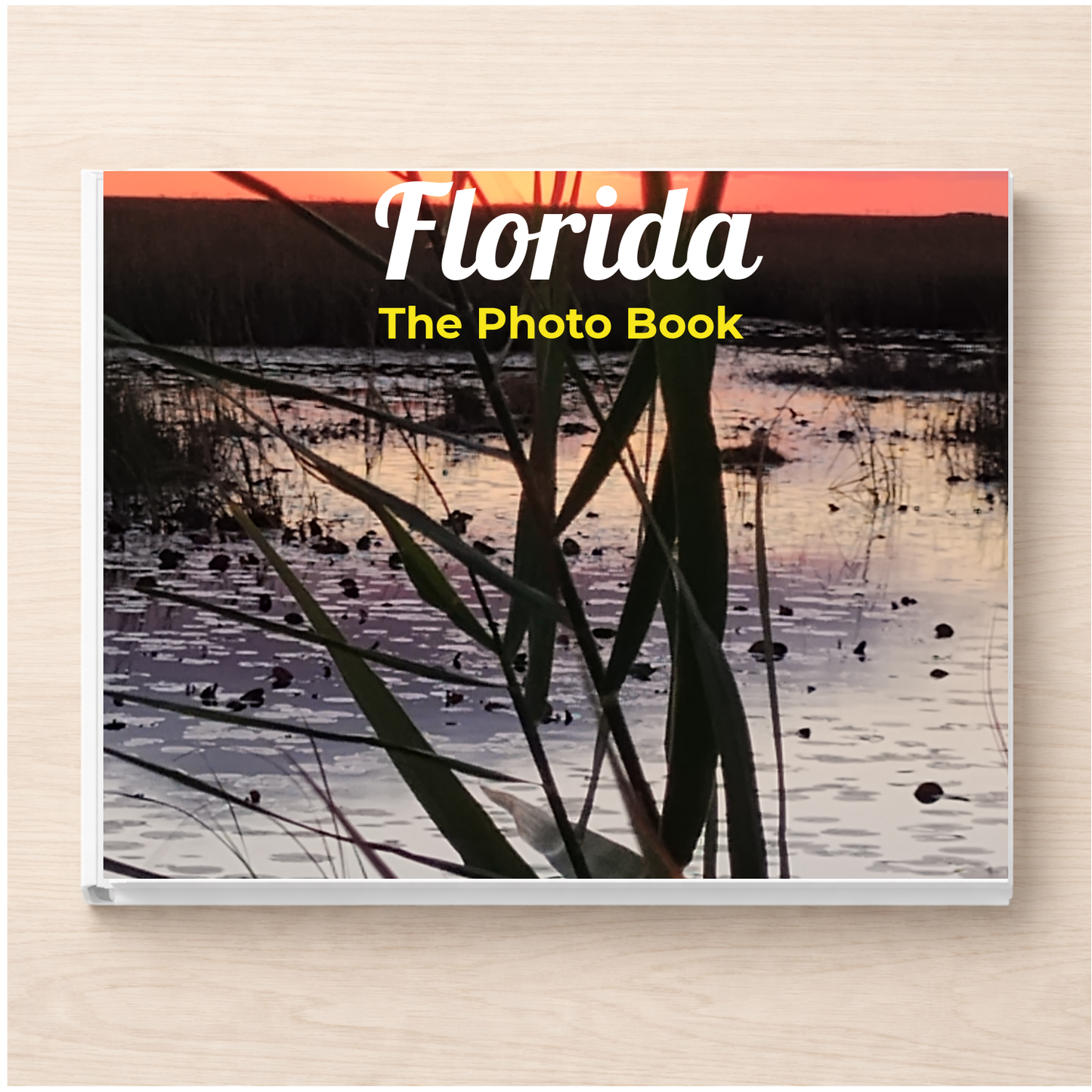 Florida: The Photo Book