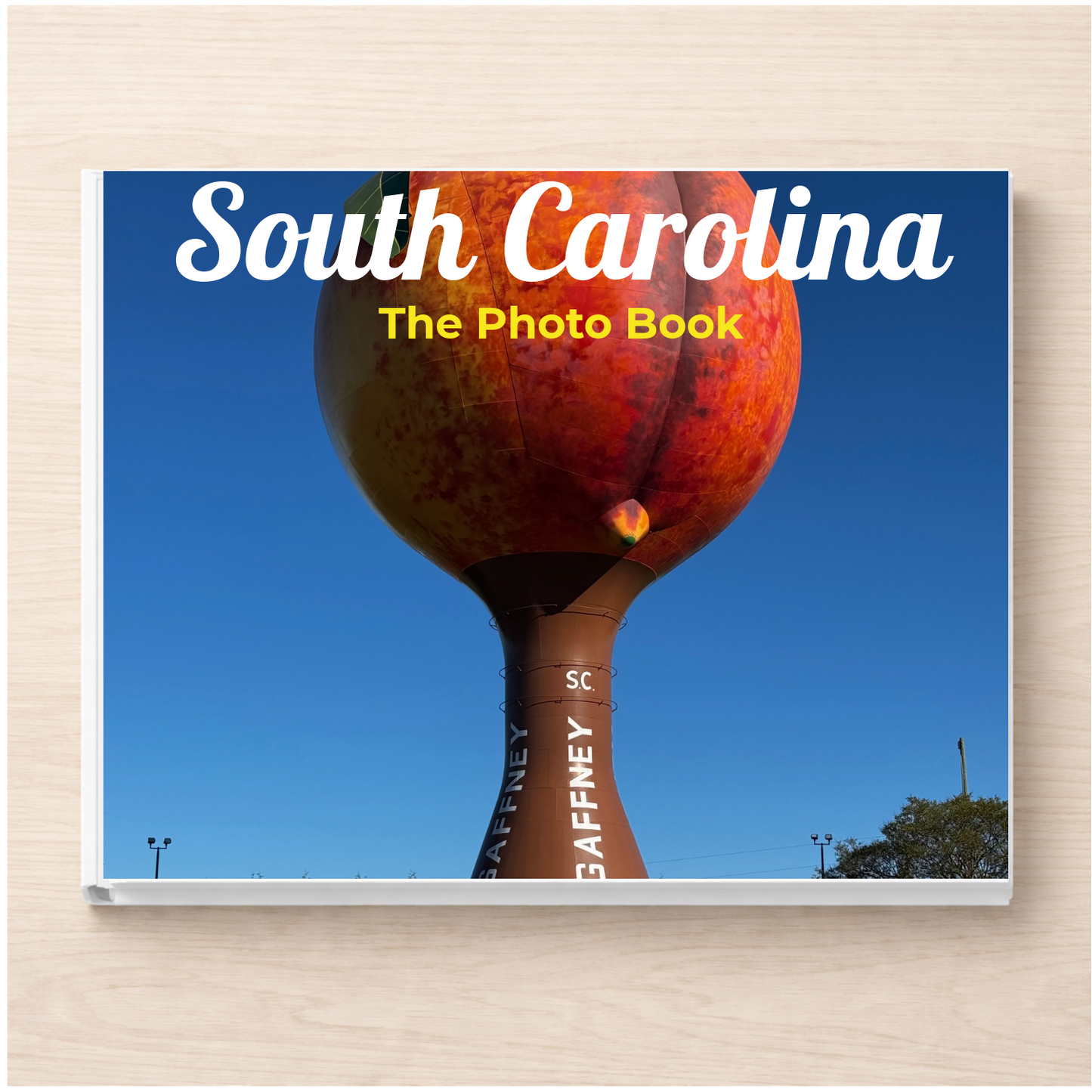 South Carolina: The Photo Book