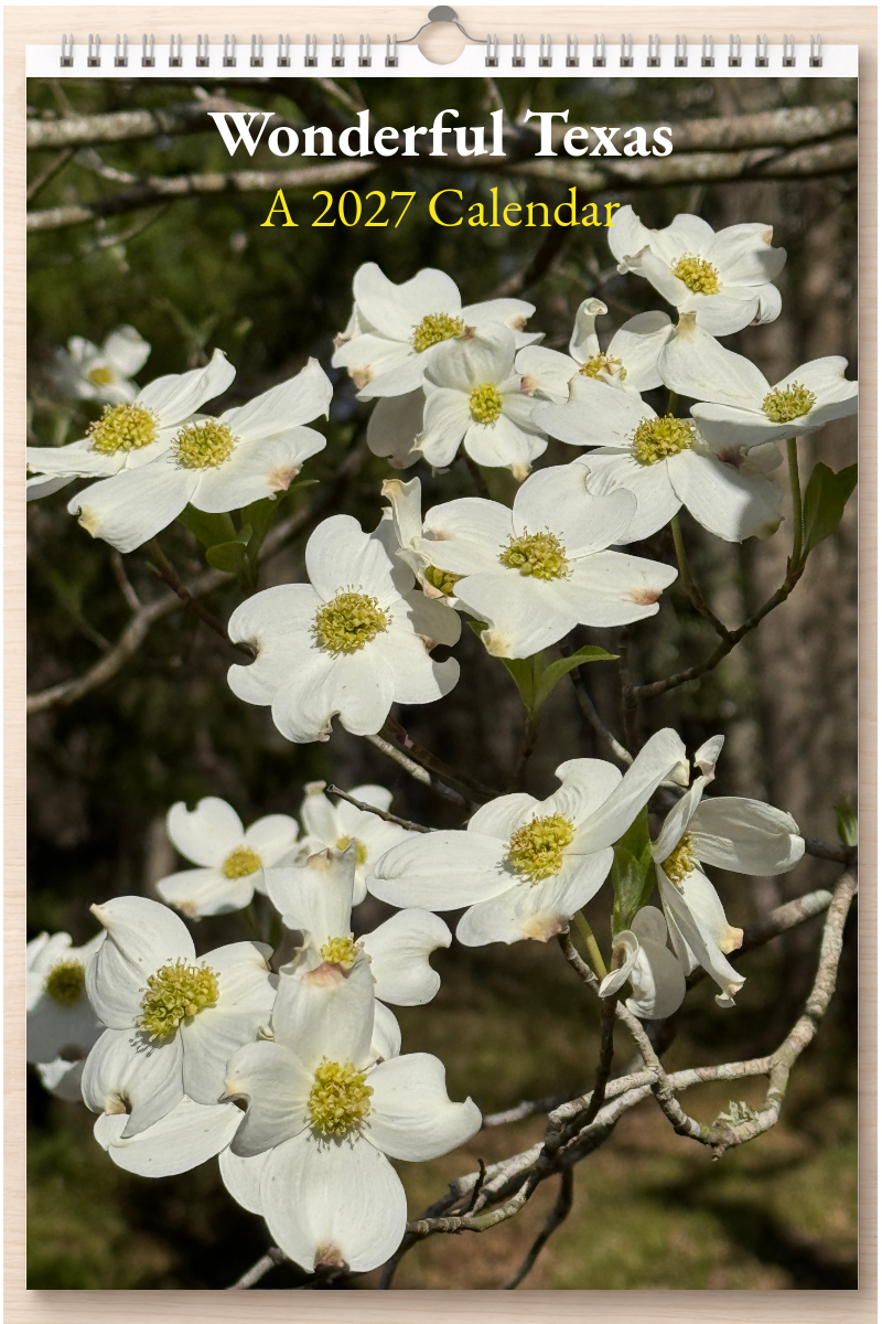 Wonderful Texas: A 2027 Calendar