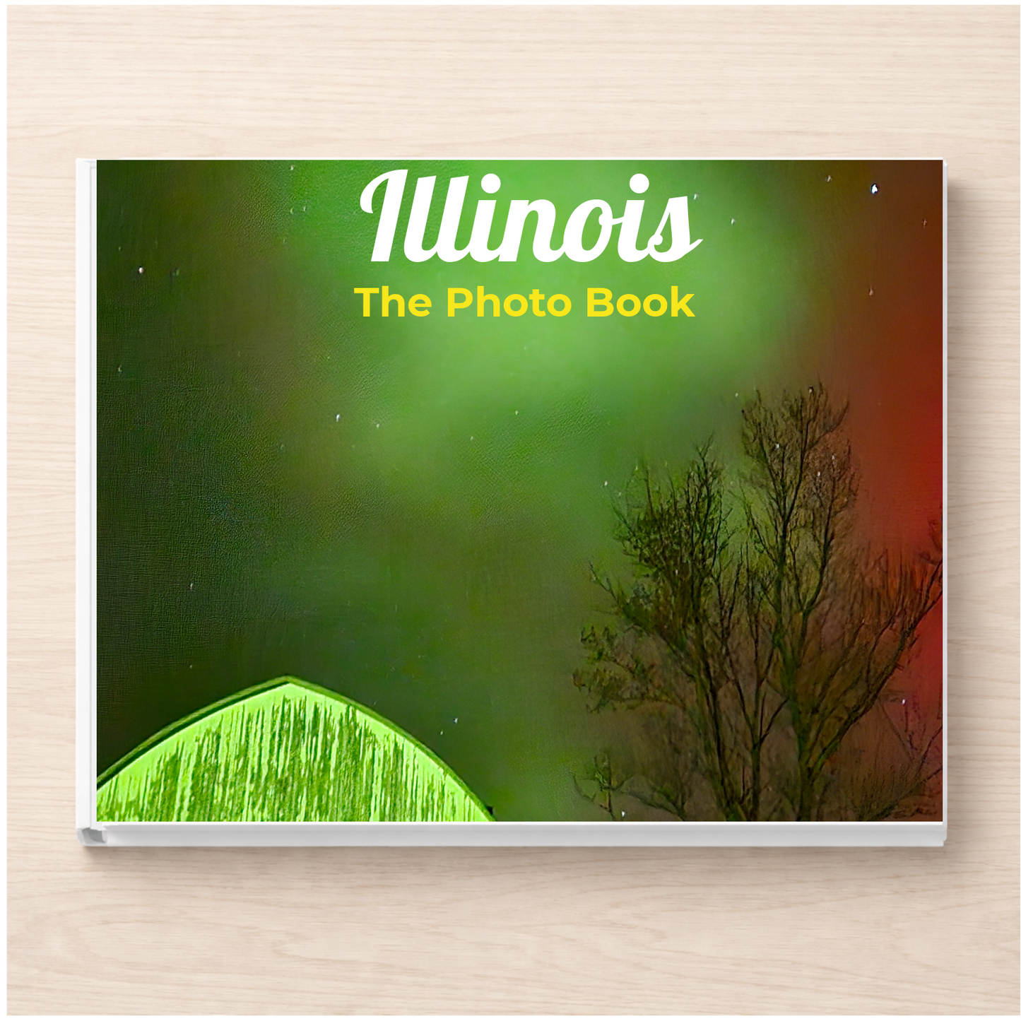 Illinois: The Photo Book