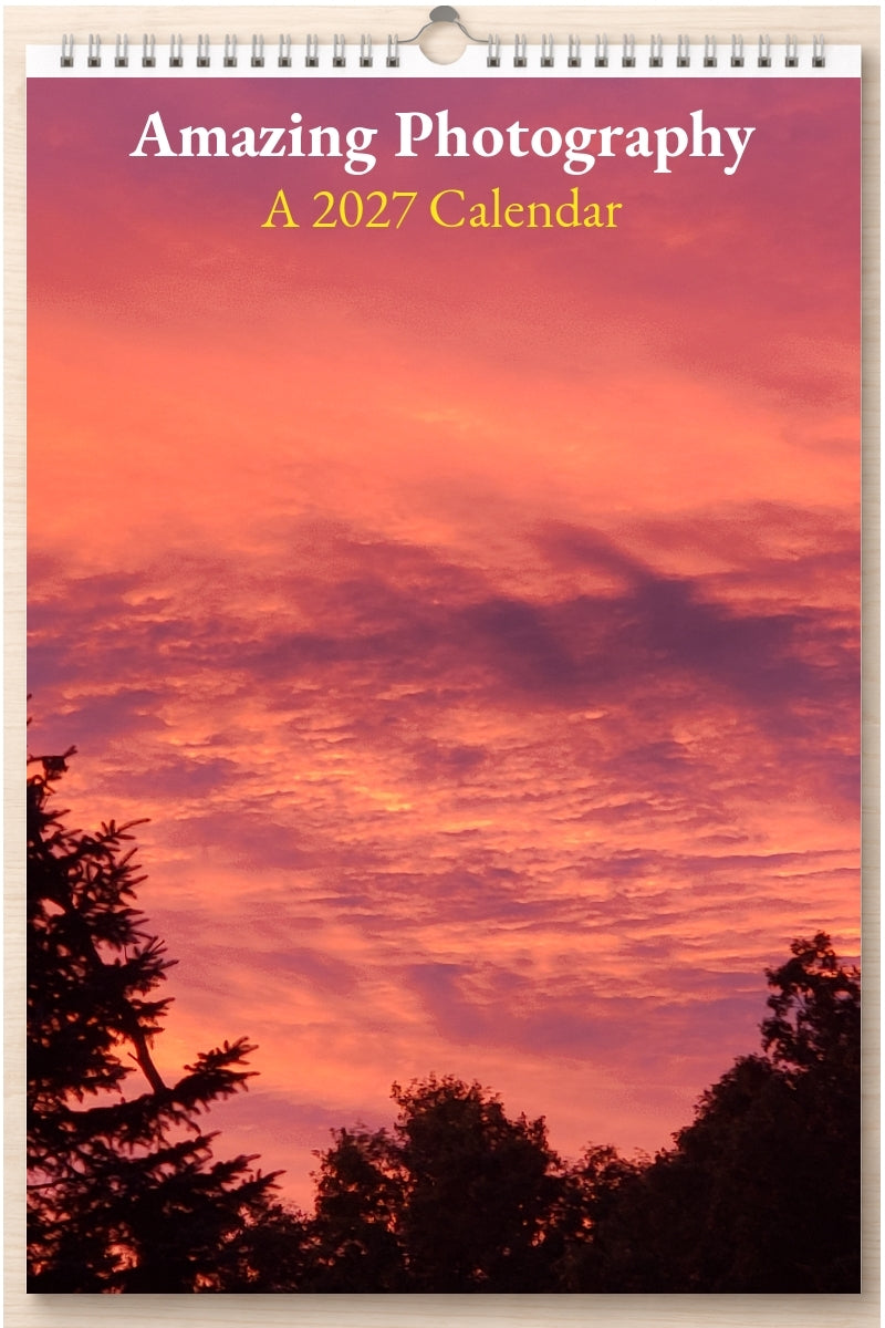 Amazing Photography: A 2027 Calendar