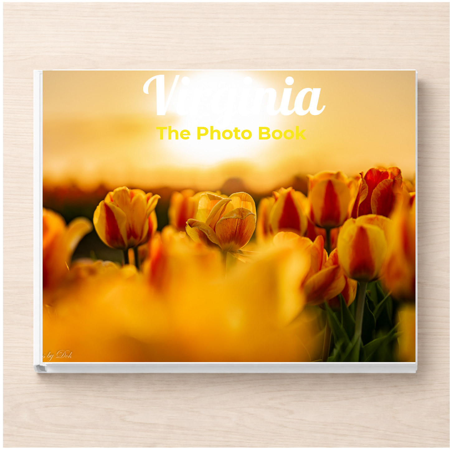 Virginia: The Photo Book