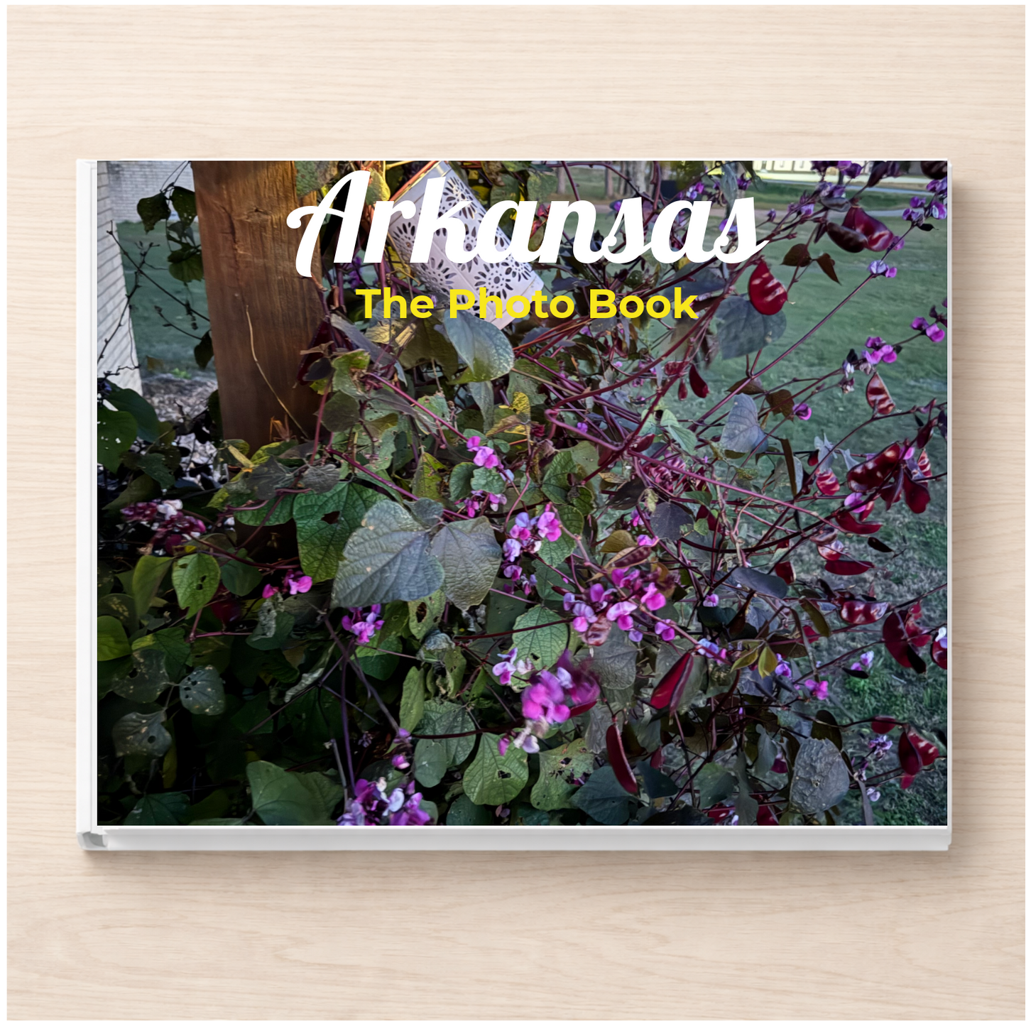 Arkansas: The Photo Book
