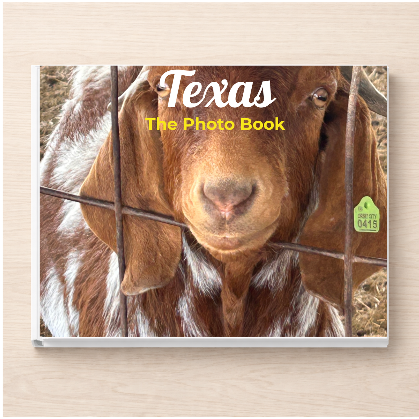 Texas: The Photo Book