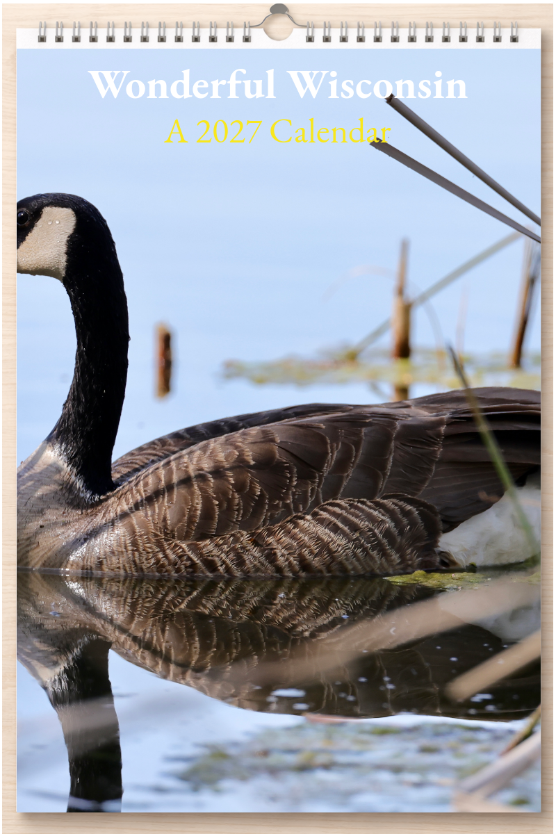 Wonderful Wisconsin: A 2027 Calendar