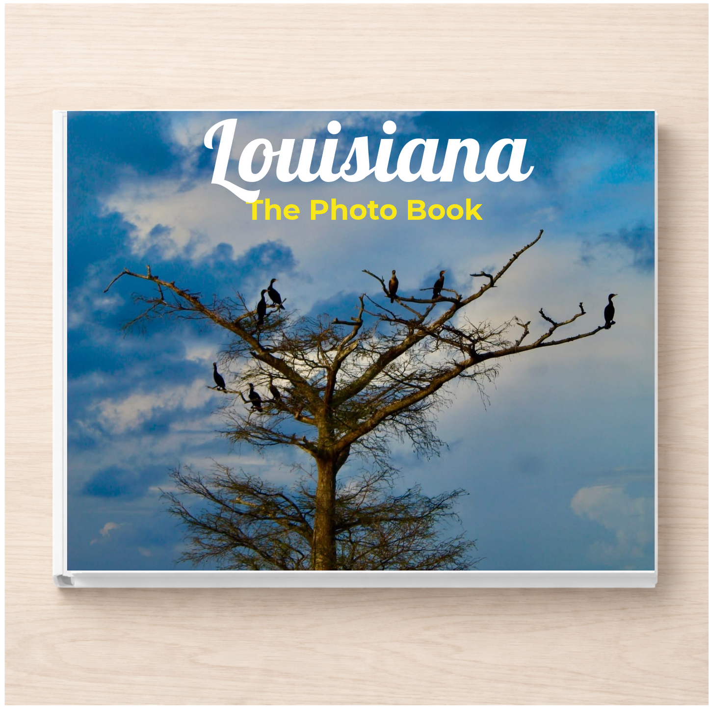 Louisiana: The Photo Book