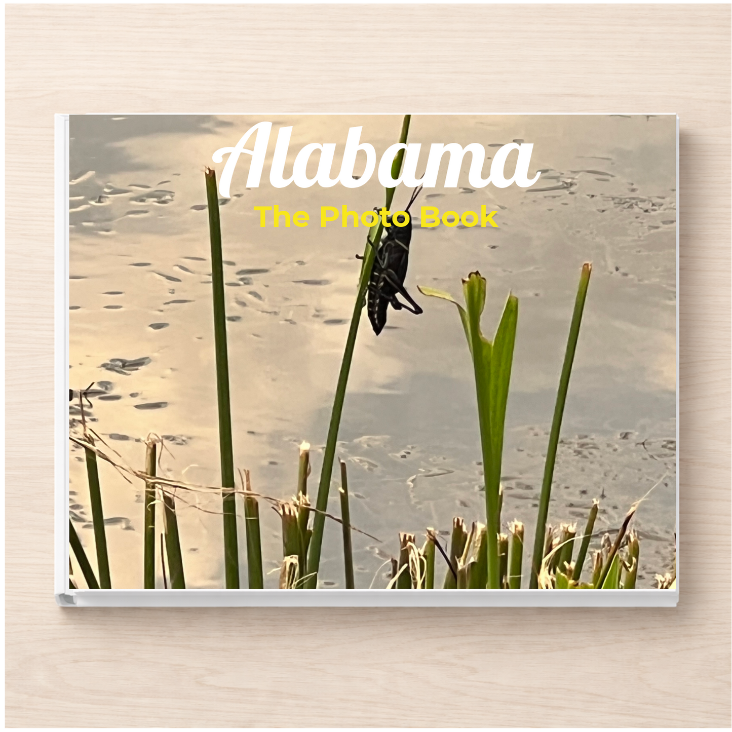 Alabama: The Photo Book