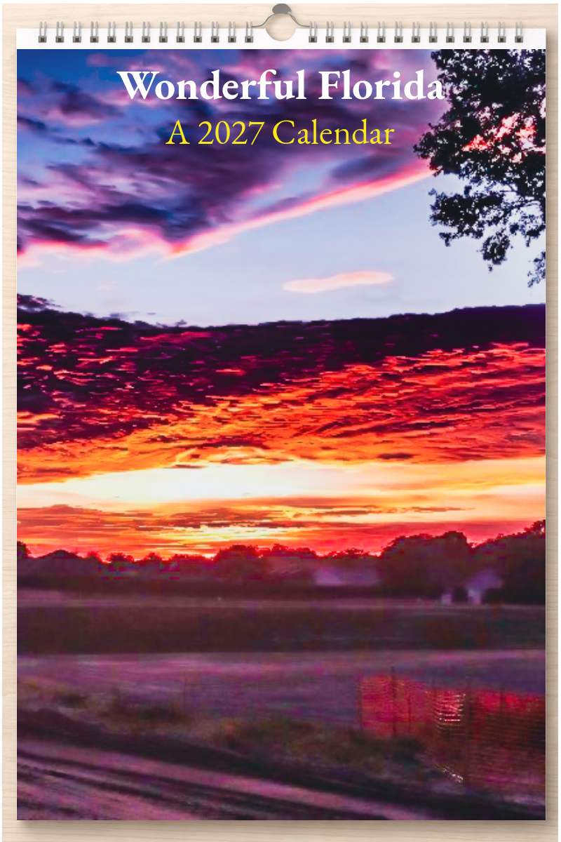 Wonderful Florida: A 2027 Calendar
