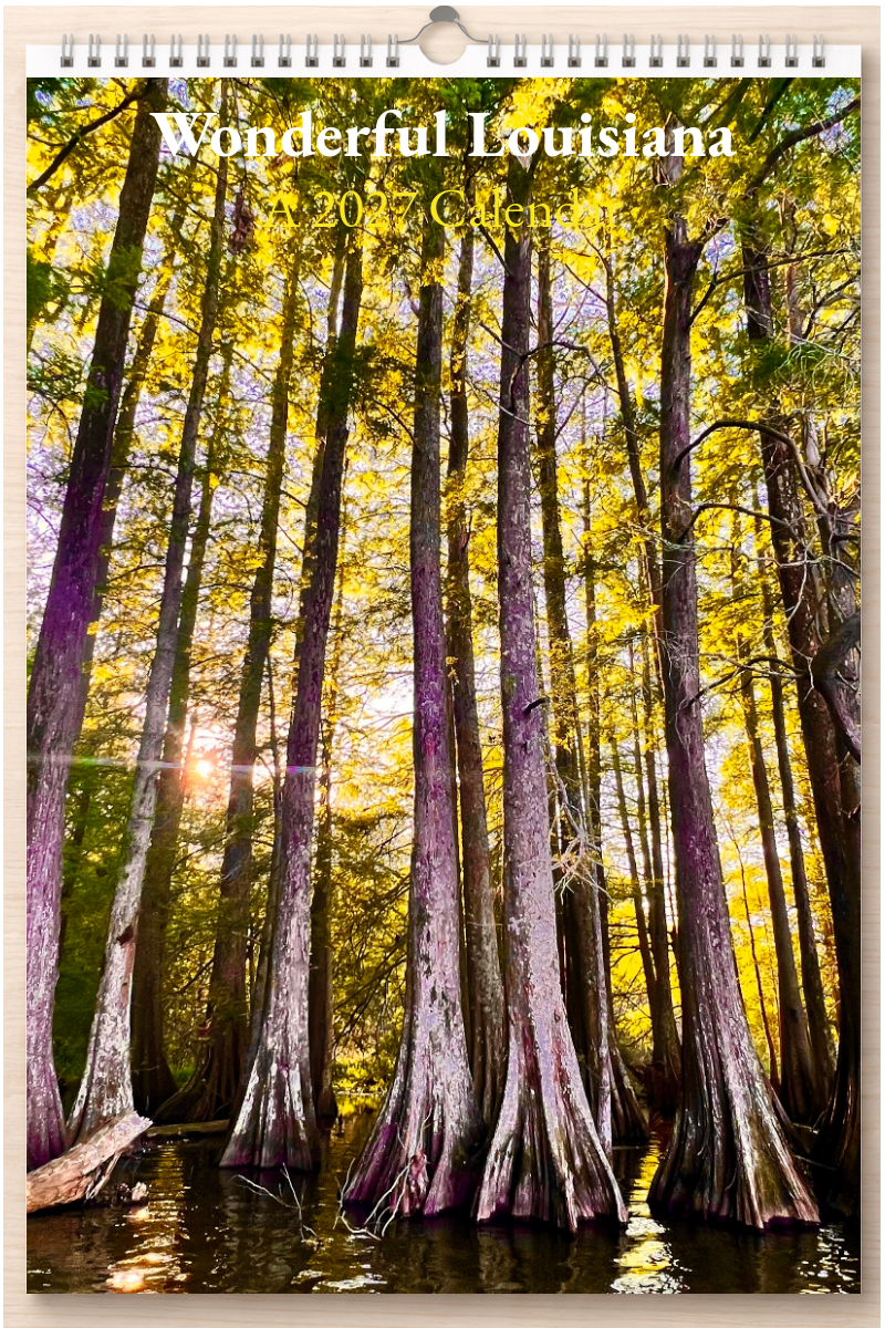 Wonderful Louisiana: A 2027 Calendar