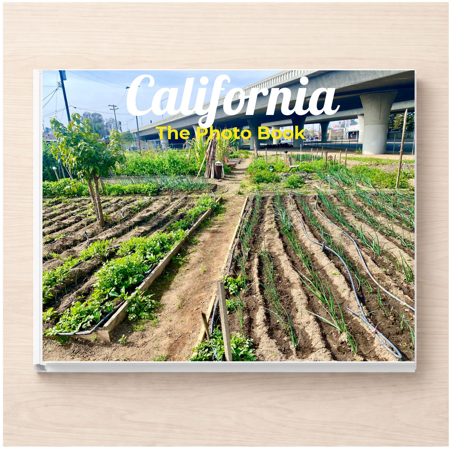 California: The Photo Book